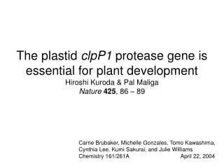 The plastid clpP1 protease gene is essential for plant development Hiroshi Kuroda &amp; Pal Maliga
