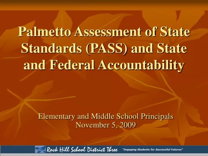 palmetto assessment of state standards pass and state and federal accountability
