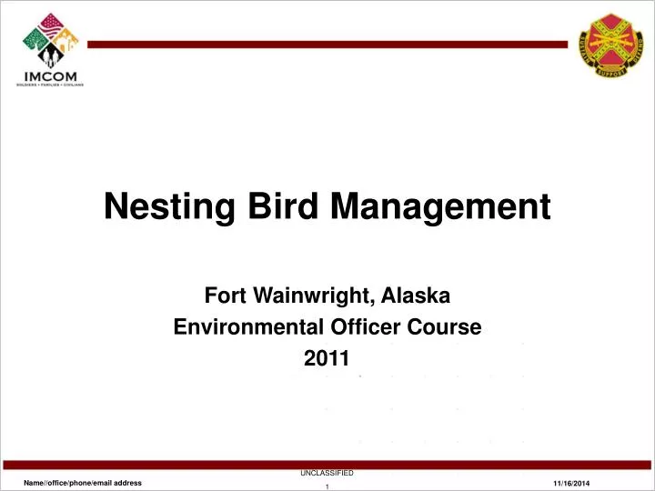 nesting bird management