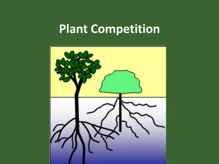 plant competition