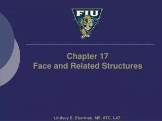 Chapter 17 Face and Related Structures