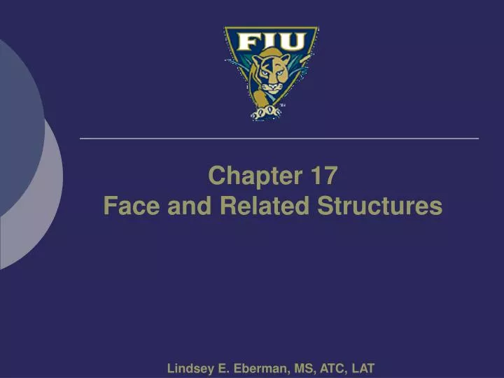 chapter 17 face and related structures