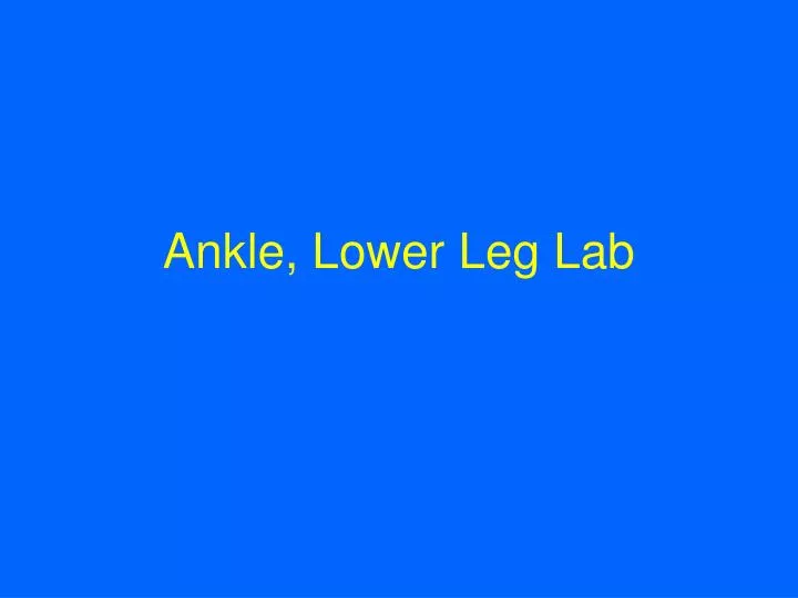 ankle lower leg lab