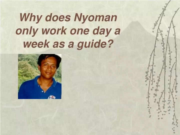 why does nyoman only work one day a week as a guide