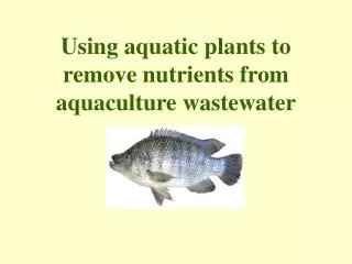 Using aquatic plants to remove nutrients from aquaculture wastewater