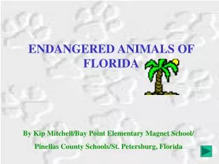 ENDANGERED ANIMALS OF FLORIDA