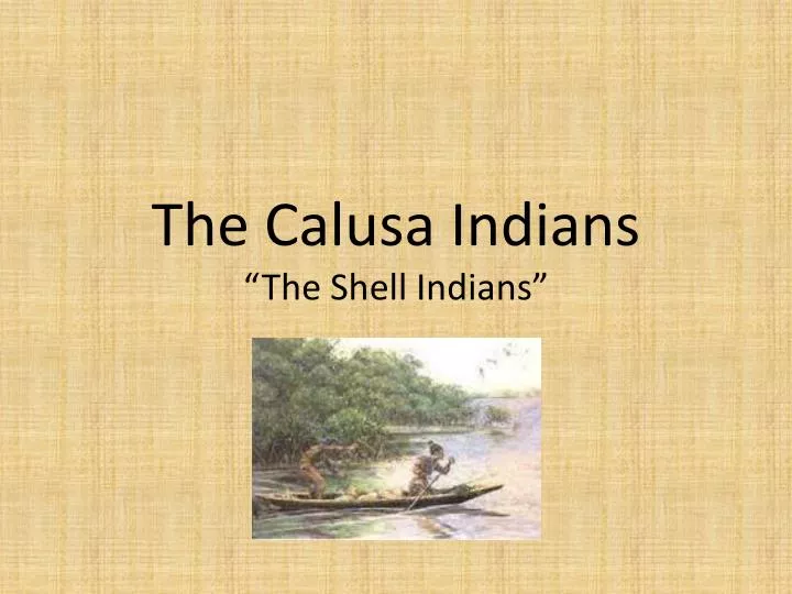 the calusa indians the shell indians