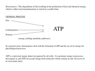 Relationship Between Work and Energy