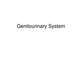 Genitourinary System