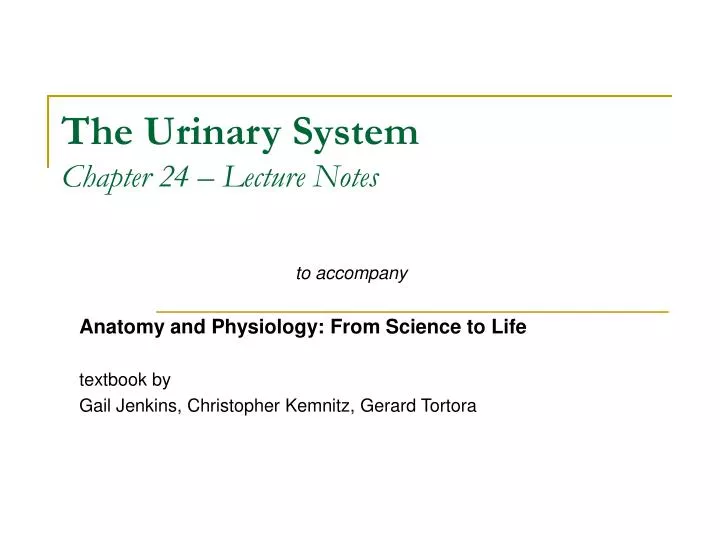 the urinary system chapter 24 lecture notes