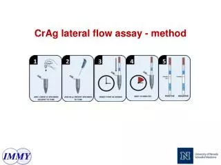 CrAg lateral flow assay - method