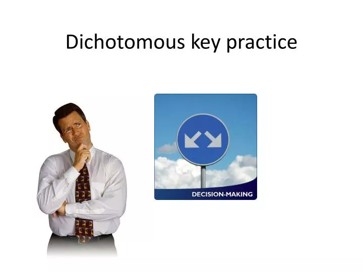 dichotomous key practice