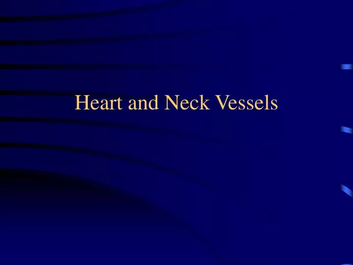 heart and neck vessels