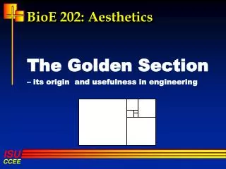 BioE 202: Aesthetics