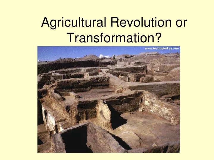 agricultural revolution or transformation