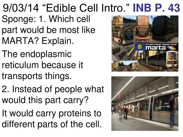 9 03 14 edible cell intro inb p 43