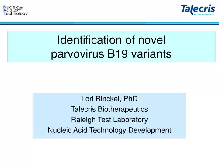 identification of novel parvovirus b19 variants