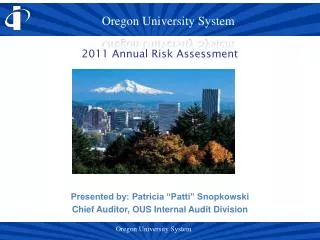2011 Annual Risk Assessment