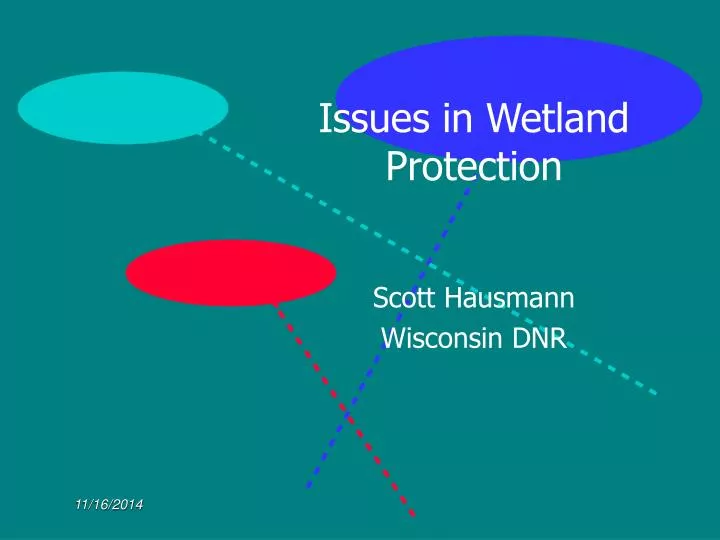 issues in wetland protection