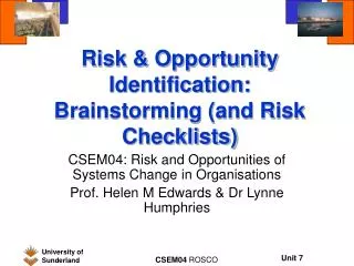 Risk &amp; Opportunity Identification: Brainstorming (and Risk Checklists)