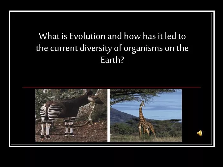 what is evolution and how has it led to the current diversity of organisms on the earth