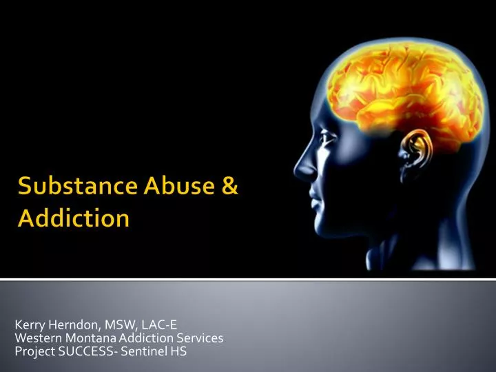 kerry herndon msw lac e western montana addiction services project success sentinel hs