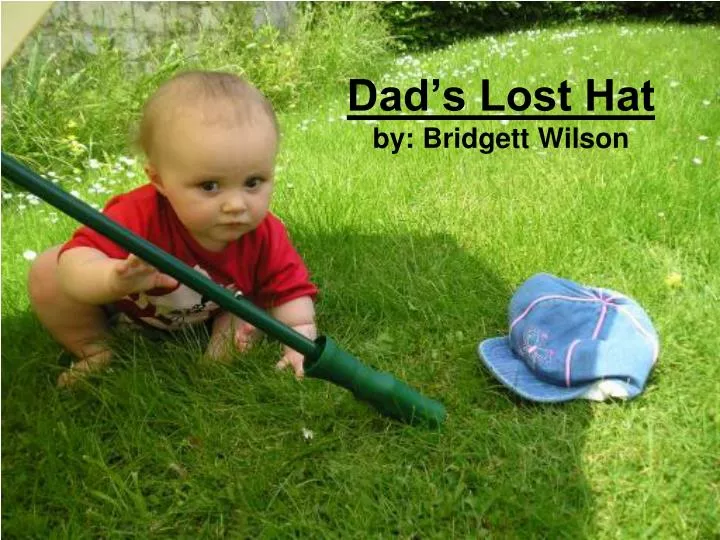 dad s lost hat by bridgett wilson