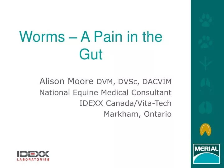 worms a pain in the gut