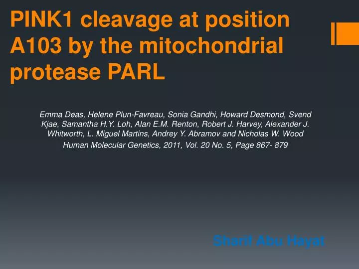 pink1 cleavage at position a103 by the mitochondrial protease parl