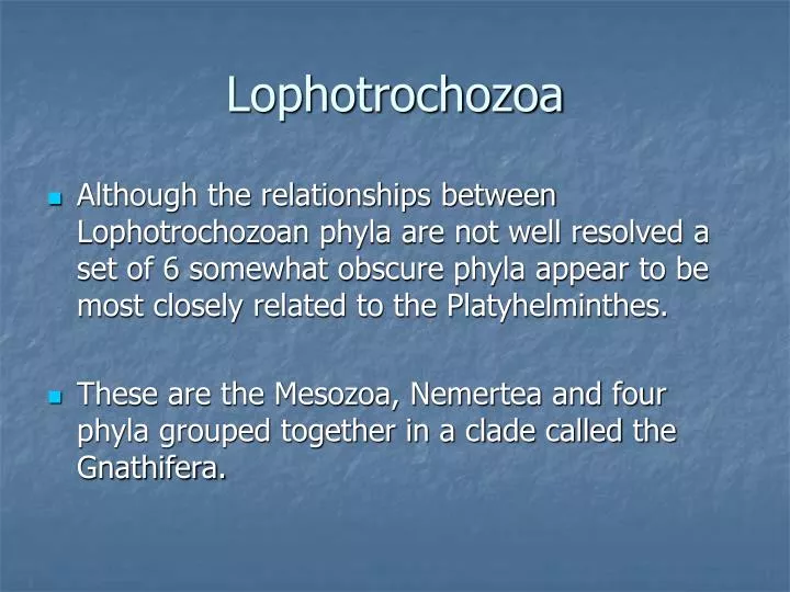 lophotrochozoa