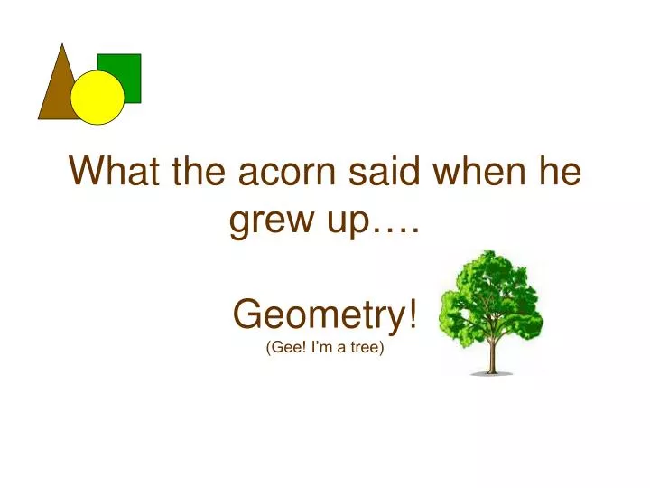what the acorn said when he grew up geometry gee i m a tree