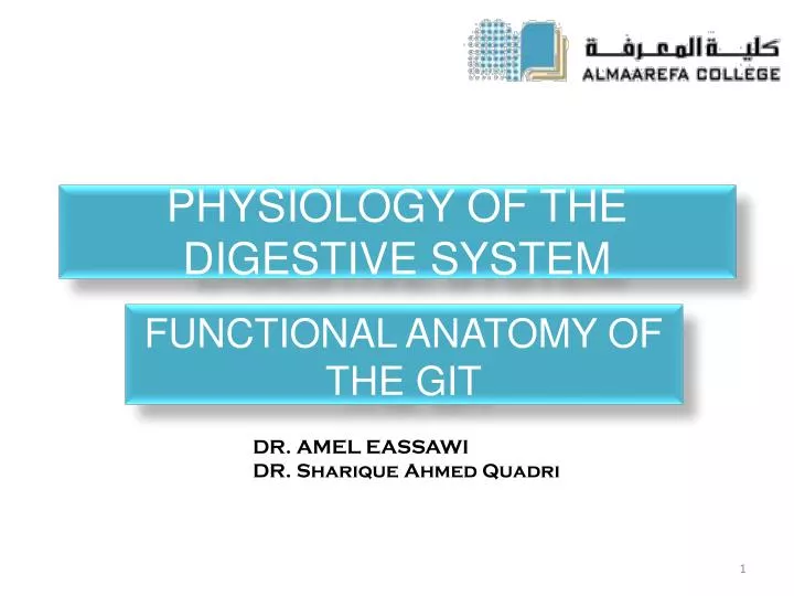 physiology of the digestive system