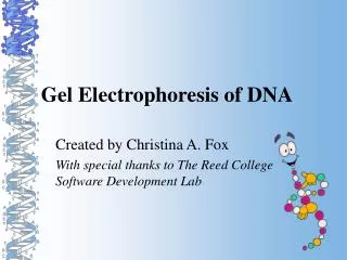 Gel Electrophoresis of DNA