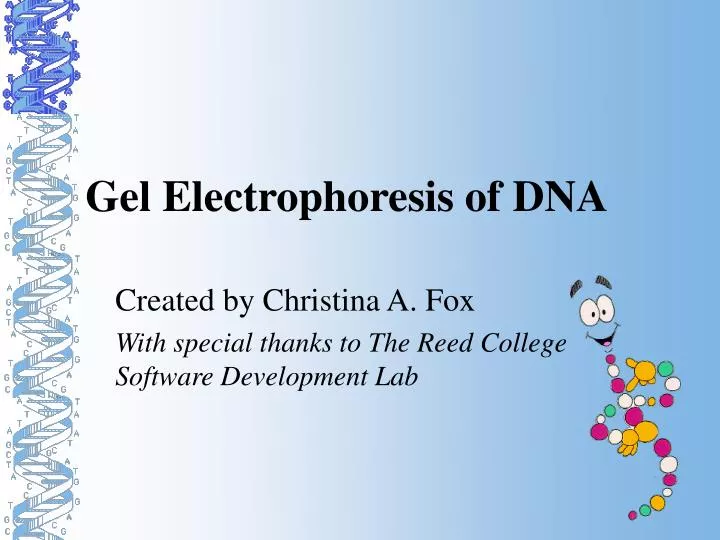 gel electrophoresis of dna