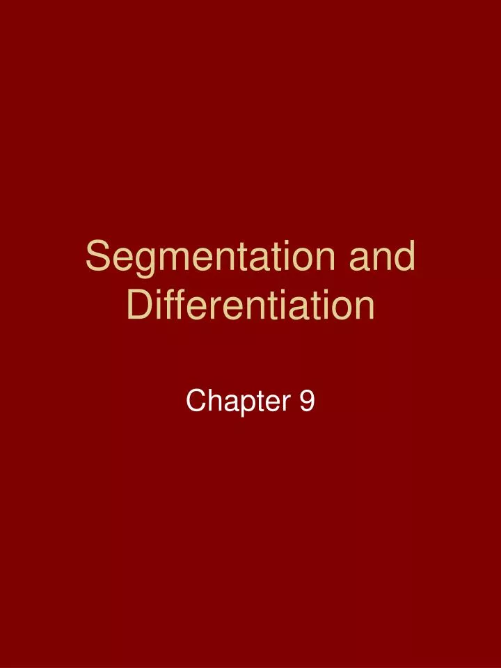 segmentation and differentiation