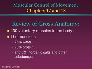 Muscular Control of Movement Chapters 17 and 18