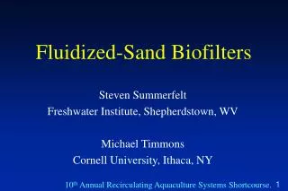 Fluidized-Sand Biofilters