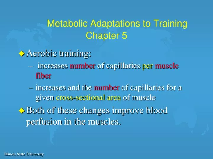 metabolic adaptations to training chapter 5