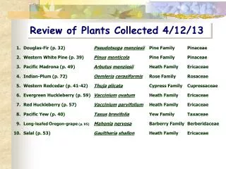 Review of Plants Collected 4/12/13
