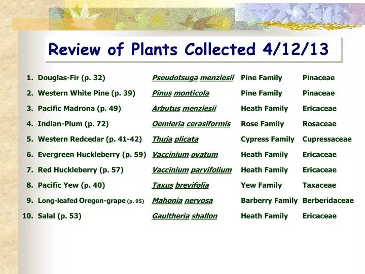 review of plants collected 4 12 13