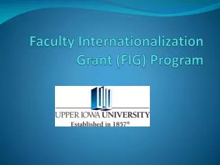 Faculty Internationalization Grant (FIG) Program