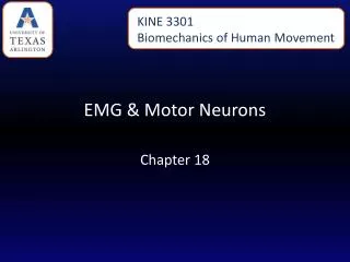 EMG &amp; Motor Neurons