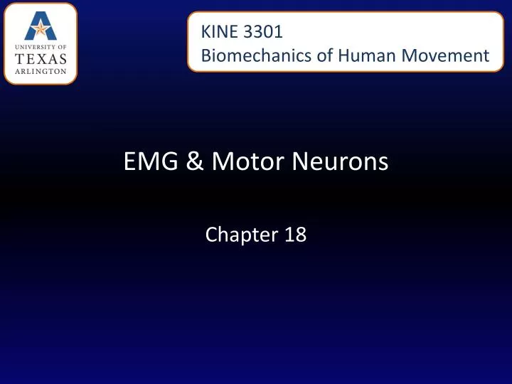 emg motor neurons