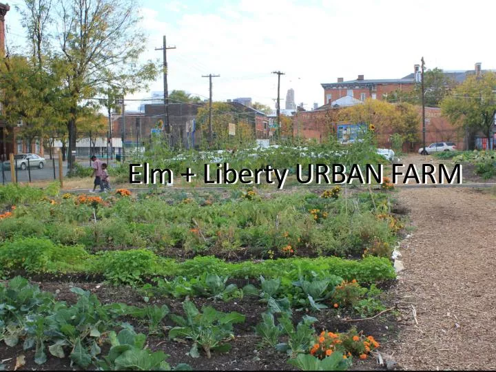 elm liberty urban farm