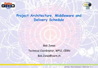 Project Architecture, Middleware and Delivery Schedule