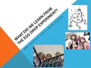 What did we Learn from the egg drop experiment?