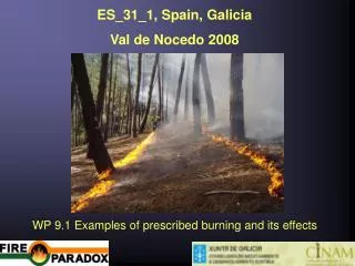 ES_31_1, Spain, Galicia Val de Nocedo 2008 WP 9.1 Examples of prescribed burning and its effects
