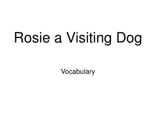 Rosie a Visiting Dog