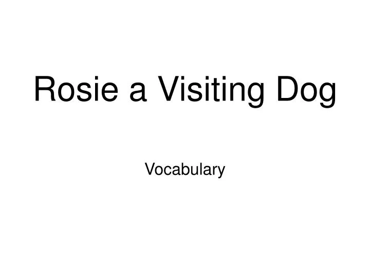 rosie a visiting dog