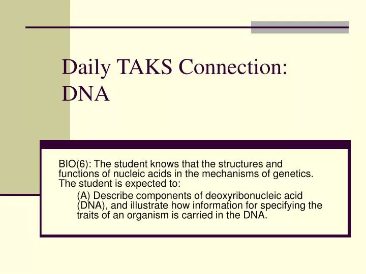 daily taks connection dna